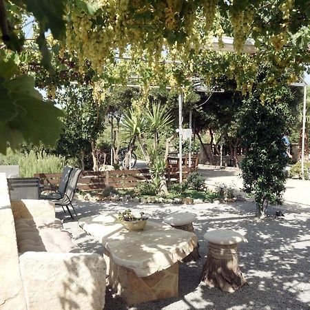 Studio Panagiota - Oasis Holiday Houses 科基诺斯皮格斯 外观 照片