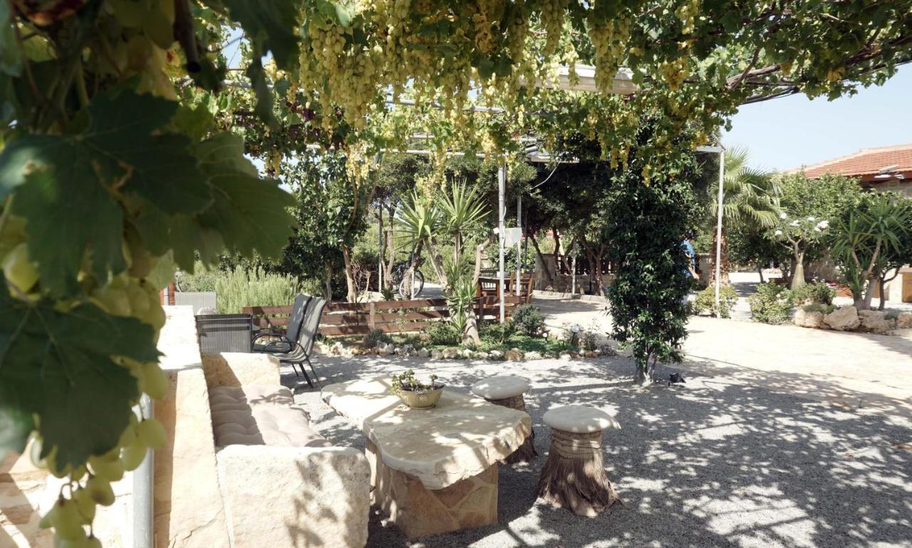 Studio Panagiota - Oasis Holiday Houses 科基诺斯皮格斯 外观 照片