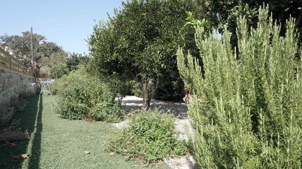 Studio Panagiota - Oasis Holiday Houses 科基诺斯皮格斯 外观 照片
