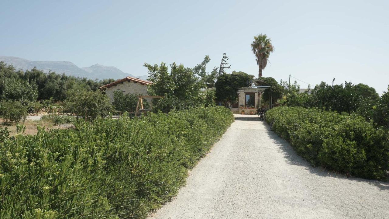 Studio Panagiota - Oasis Holiday Houses 科基诺斯皮格斯 外观 照片
