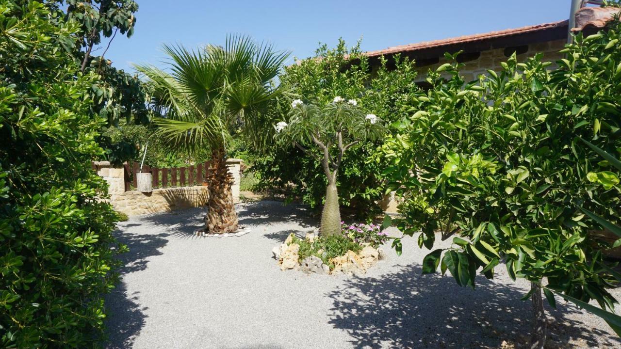 Studio Panagiota - Oasis Holiday Houses 科基诺斯皮格斯 外观 照片